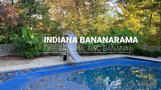 How (Not) To Grow Bananas In Indiana