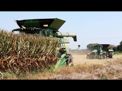 ARKANSAS CORN HARVEST with 3x John Deere S790 Combines | BIG Harvest