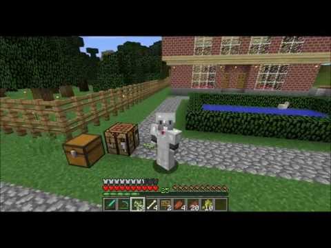 Mikkel Frost Minecraft 236 - Knowledge Is Power