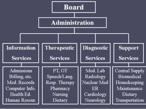 What type of business organization is a hospital?