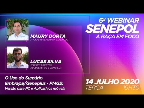 Webinar Senepol - A raça em Foco #6: O uso do Sumário Embrapa/Geneplus - PMGS