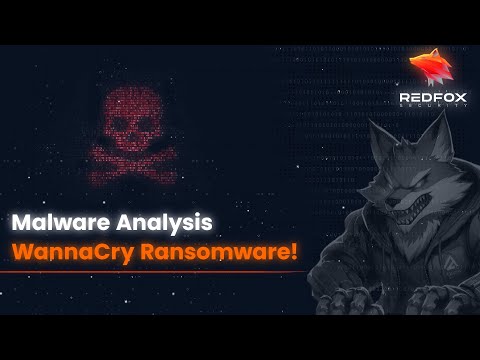 WannaCry Ransomware EXPLAINED — Step-by-Step Analysis