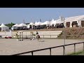 poney 5 ans pour faire les AS