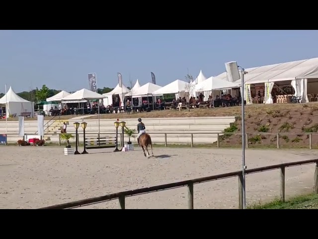 poney 5 ans pour faire les AS