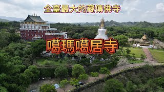 臺南左鎮 噶瑪噶居寺 全臺最大的藏傳佛寺 花旗木季