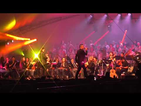 Crazy little thing called love