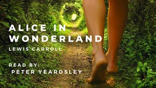 Alice’s Adventures in Wonderland Audiobook | Relaxing Sleep Story | Unintentional ASMR