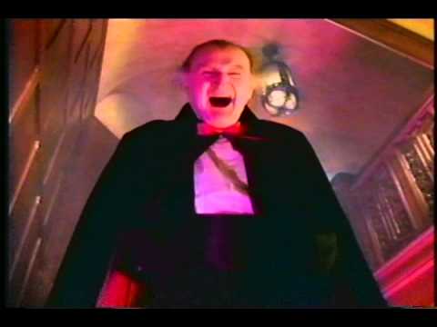 Al Lewis - Paper Warehouse Commercial