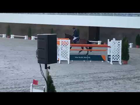 Kisses 6 y/o mare by Conditus X Clearway