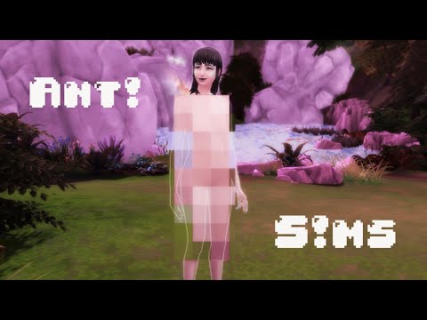 ANT! - S!MS