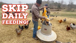 Stop Feeding Your Chickens Every Day! (Do THIS Instead)