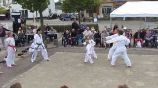 preview picture of video 'Nordborg Taekwondo klub MiniMax opvisning Guderup markedsdag 31.08.2013'