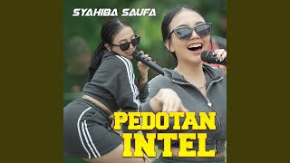 Download lagu Pedotan Intel mp3 Download lagu Pedotan Intel mp3