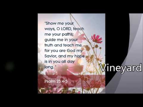 Undivided Heart video