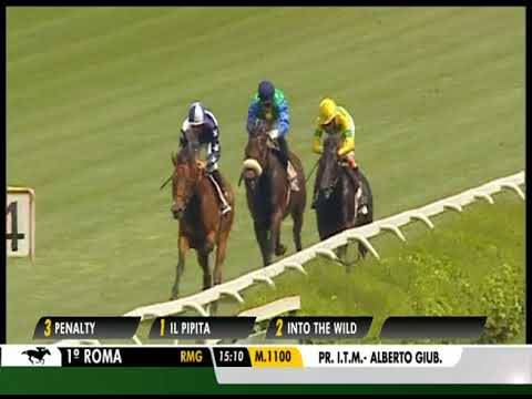 Penalty - Premio Giubilo, Cond.