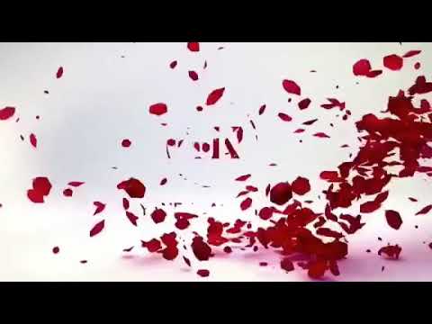 Yanet KantAlma. 🇨🇺🎶❤️🇦🇴 Siga-me nas redes sociais para actualização nos meus futuros projectos.