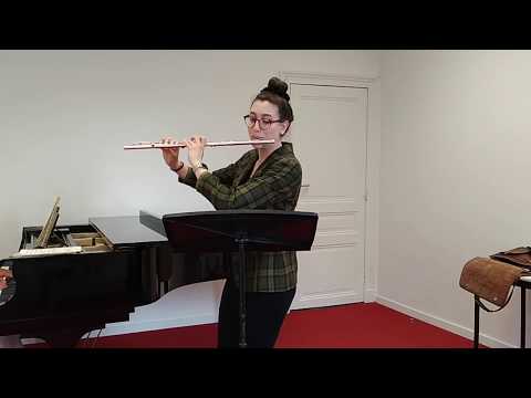 Sonata for Flute and Piano Op.94 (1st mov), S. Prokofiev
