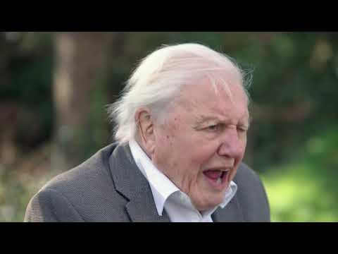 A Message From Sir David Attenborough
