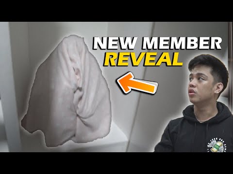 MULTO NAGPARAMDAM sa BG MANSION!!