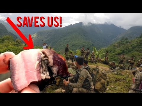 When Army Troops Found Decay Worming Meat | BELUGA