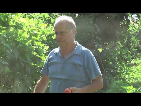 L'ORTO SULL'ALBERO | IL VIDEO