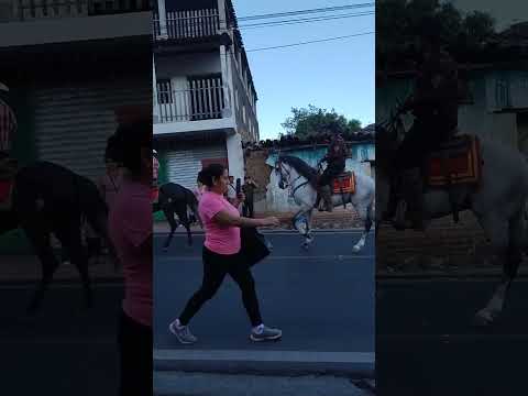 Desfile hípico fiestas patronales candelaria de la frontera santa Ana El salvador 💙🇸🇻