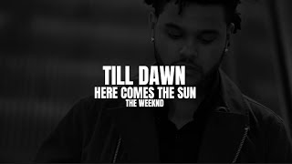 THE WEEKND – TILL DAWN (HERE COMES THE SUN) | TRADUÇÃO.