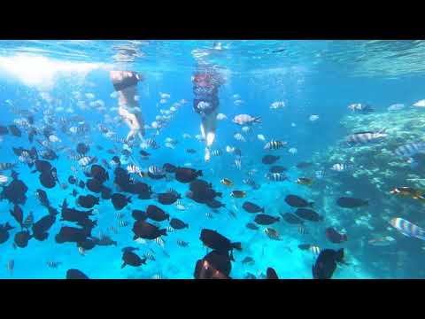 4K Snorkelling in Hurghada, Egypt, Oct 21- near Orange Bay