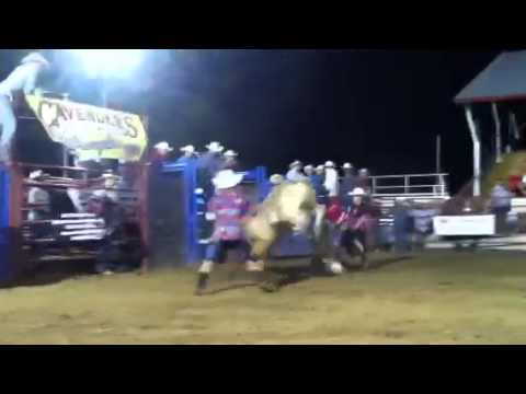 Betsworth bull bash. Five time world champion bull "Splat Cat".