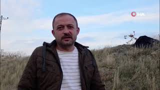Yozgat'a kış gelmeden bahar geldi, kır çiçekleri açtı