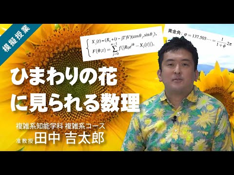 公立はこだて未来大学　ひまわりの花に見られる数理