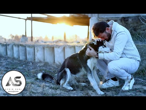 Aydın Sani - Ey Tanri 2024 (Official Music Video)