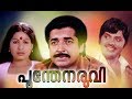 Poonthenaruvi Malayalam Full Movie Jayan Prem Naseer Jayabharathi Malayalam Old Movies