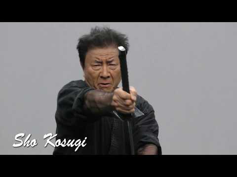 Sho Kosugi 2018 German Comic Con