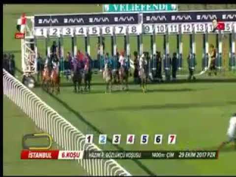HAZIM R.GÖZLÜKÇÜ KOŞUSU (Grup-3) 29/10/2017 İSTANBUL