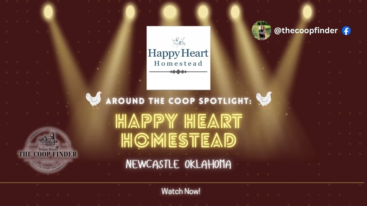 Local Business Feature – Newcastle Oklahoma