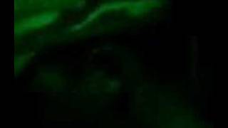 MAD MAX ROCK BAND -SOS RIO DO PEIXE - BLACK SABATH