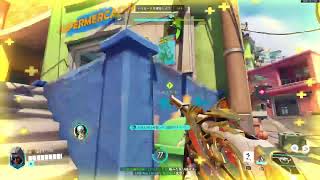 Overwatch　パッション