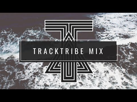 Tracktribe - Best hits 2022 Master Playlist (List 2)