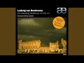 String Quartet No. 14 in C-Sharp Minor, Op. 131: V. Presto