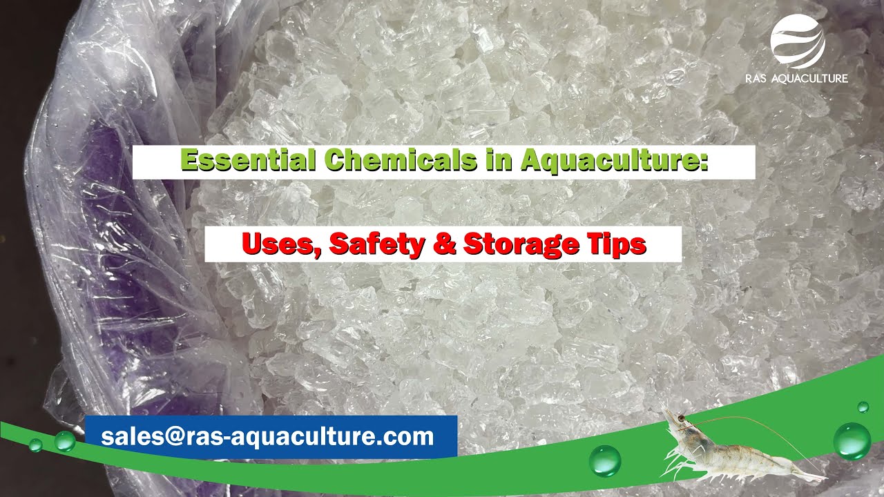 Essential Chemicals in Aquaculture: Uses, Safety & Storage Tips