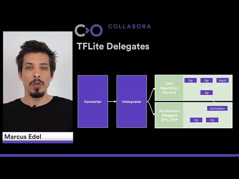 Living on the Edge: Pure Open Source AI Stack with Panfrost, GStreamer & Tensorflow Lite