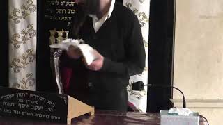 בית המדרש חזון יעקב • יום שני כט' שבט תשפ'ו (בית הכנסת מוסאיוף) - התמונה מוצגת ישירות מתוך אתר האינטרנט יוטיוב. זכויות היוצרים בתמונה שייכות ליוצרה. קישור קרדיט למקור התוכן נמצא בתוך דף הסרטון