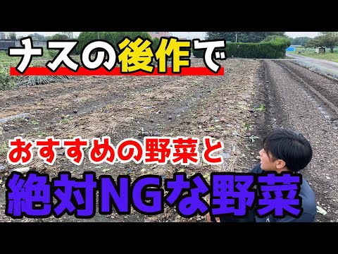 園芸 正方形の菜園、始まります