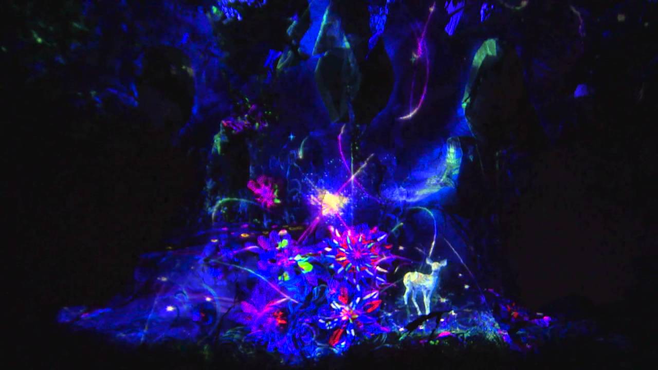 The Tree of Life Awakens