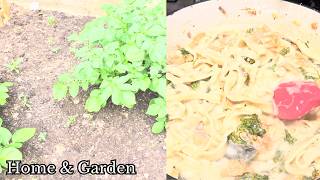 A Simple Day at Home 🌿 | Olio Free Food Haul, Garden Update & Daily Life