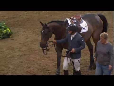 2016 Royal Winter Fair Jolera Jumpers and Fails