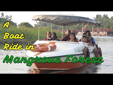 Rocks of SteKenz - 012 A Boat Ride in Mangrove Forest