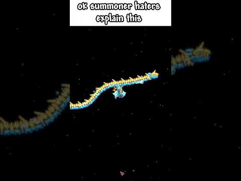 Summoner class be like... #terraria #gaming