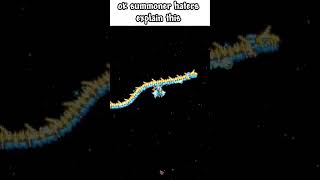 Summoner class be like... #terraria #gaming